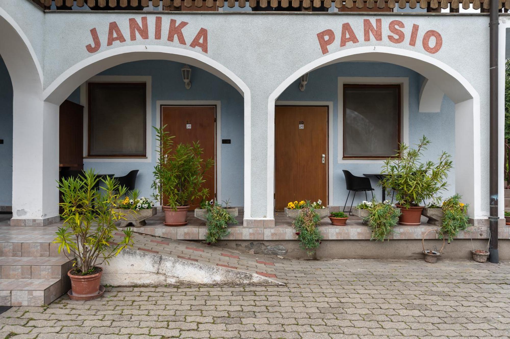 Janika Pension Вонярцвашхедь Экстерьер фото